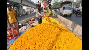 दसऱ्याच्या मुहूर्तावर झेंडूची फुले महागली