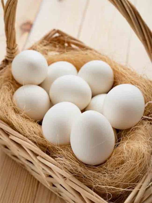 US Egg Price Scam : अंड्यांच्या किमतीत ७०% वाढ; अमेरिकेत ३ कंपन्यांवर कारवाई, ५.३ कोटी अंडी मोफत वाटावी लागणार