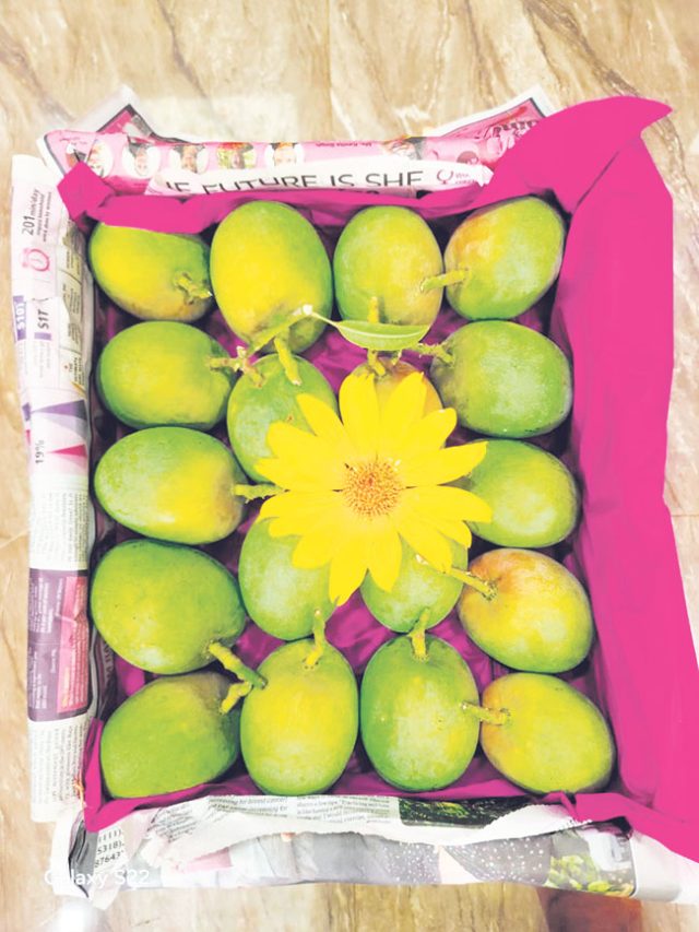 ऐन दिवाळीत हापूसची  पहिली पेटी देवगडहून दाखल