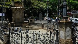 कबुतरखान्यांसाठी महापालिकेकडून पर्यायी जागांचा शोध