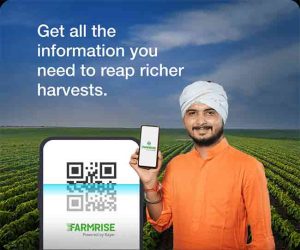 शेतकऱ्यांकरिता हवामान अनिश्चिततेला तोंड देण्यासाठी बायरकडून 'अॅलिव्हिओ' लाँच हे अँप कसे फायदेशीर? शेतकऱ्यांना ही माहिती नक्की पोचवा....