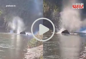 Firecraker Attack On Elephant : क्रूरतेचा कळस! सिंधुदुर्गमध्ये नदीत आंघोळ करणाऱ्या 'ओंकार हत्ती'वर सुतळी बाॅम्बने हल्ला; व्हिडिओ व्हायरल