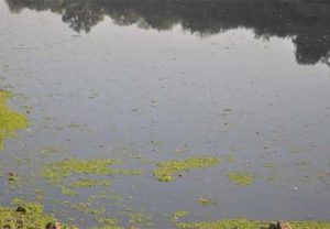 सांडपाण्यामुळे कुंडलिका नदीचे पाणी प्रदूषित