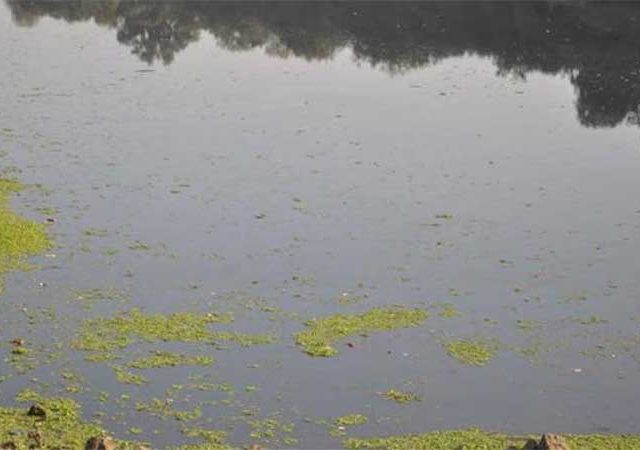 सांडपाण्यामुळे कुंडलिका नदीचे पाणी प्रदूषित