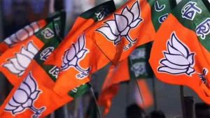 महाआघाडीत खळबळ; भाजपकडून ‘स्वबळा’ची भूमिका ?