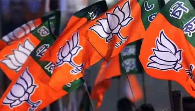 महाआघाडीत खळबळ; भाजपकडून ‘स्वबळा’ची भूमिका ?
