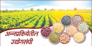 अन्नप्रकियेतील उद्योगसंधी