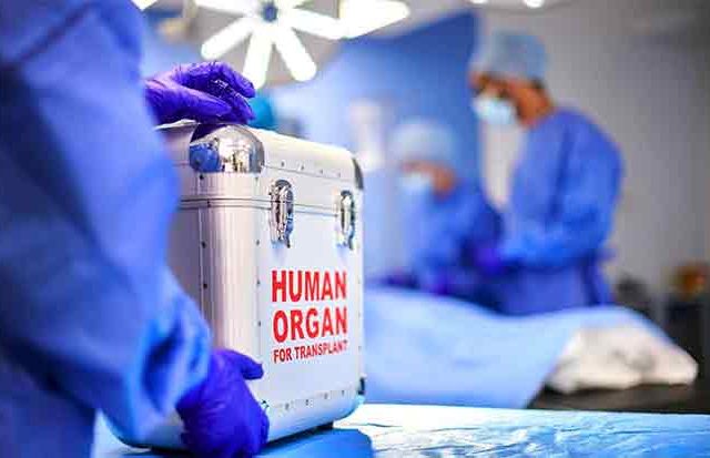 अरे बाप रे! 'या' गावात ४० टक्के ग्रामस्थांकडे एकच किडनी