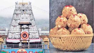 तिरुपती लाडू प्रसादासाठी  ६८ लाख किलो बनावट तूप
