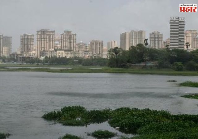 पवई तलावातील जल प्रदूषण रोखणार, ईस्ट इंडिया कंपनीची महापालिकेने केली निवड
