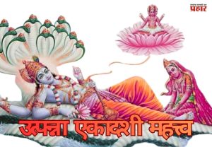 उत्पन्ना एकादशीचे महत्त्व आणि पाळा हे नियम! जाणून घ्या सविस्तर...