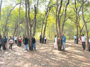 तपोवनाबाहेर झाडे लावता येतील, साधुग्राम उभारता येईल?