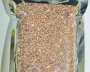 देवरूखच्या ‘सप्तलिंगी लाल भात’ची राष्ट्रीय बाजारात चमक