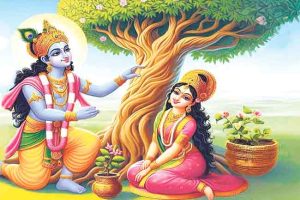 पारिजातक वृक्ष पृथ्वीवर येण्याची कथा