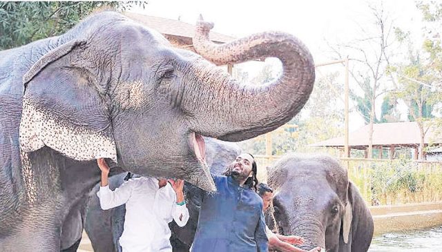 ‘वनतारा’च्या उद्दिष्टांचे जागतिक स्तरावर पुनरुज्जीवन