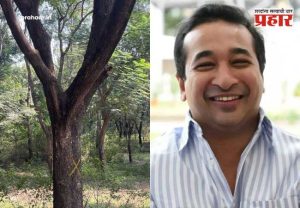 Nitesh Rane on Nashik Tree Cutting : 'वृक्षतोडीवर आक्षेप, मग बकरी कापताना गप्प का?' पर्यावरणाच्या नावाखाली राजकारण करणाऱ्यांना मंत्री नितेश राणेंचा तिखट सवाल!