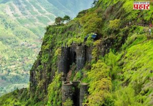 नववर्षाच्या सेलिब्रेशनसाठी या गड किल्ल्यांवर जाण्यास बंदी; वन विभागाचा आदेश जारी