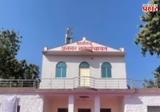 निकालाआधी अनगरमध्ये भाजपने उधळला गुलाल! पहिल्यांदाच निवडणूक आणि बिनविरोध निवड