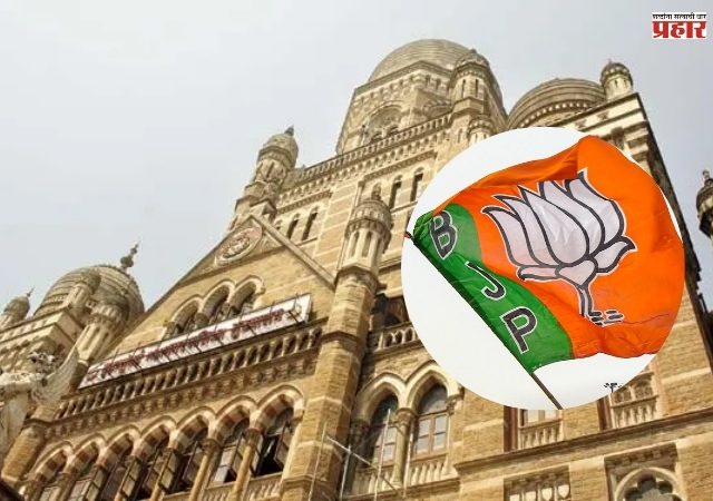 Mumbai BMC Election Results 2026 LIVE Counting : मतमोजणीच्या अडीच तासांनंतर 'हे' उमेदवार ठरले विजयी; पाहा विजयी उमेदवारांची पहिली यादी