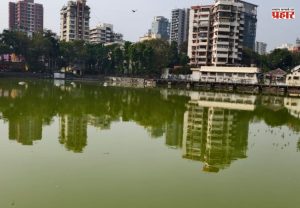 वांद्रे तलाव बनले बकाल,  तलावात शेवाळयुक्त दुर्गंधी पाणी आणि कचरा