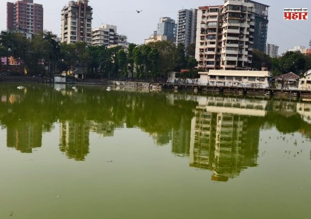 वांद्रे तलाव बनले बकाल,  तलावात शेवाळयुक्त दुर्गंधी पाणी आणि कचरा