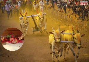 थेट शर्यतीत पळणाऱ्या बैलांवर भानामती! कोल्हापूरातील स्मशानात आढळून आला अंधश्रद्धेचा प्रकार