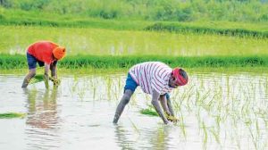 राज्यातील शेतकऱ्यांना ३० जूनपर्यंत कर्जमाफी!