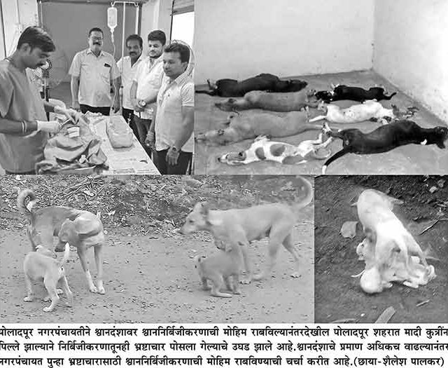 माकडांसह भटक्या कुत्र्यांचा उपद्रव
