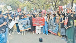 भटक्या कुत्र्यांवरील कारवाईविरोधात मुंबईत ‘करा किंवा मरा’ आंदोलन