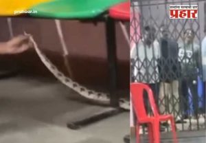 Snake Spotted Polling Station : चेंबूरमधील मतदान केंद्रात विषारी सापाचं दर्शन! सुरक्षा रक्षकांमध्ये भीतीचं वातावरण; थेट आला अन्...