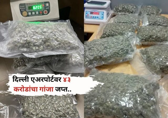 Delhi Airport Drug News: