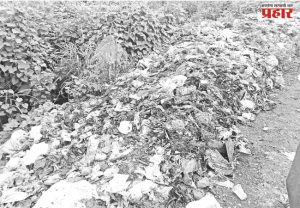 केंद्रीय पर्यावरण, वन मंत्रालयातर्फे घनकचरा व्यवस्थापनासाठी नव्या नियमांची अधिसूचना
