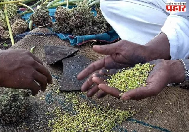 दिल्लीकरांसाठी महाराष्ट्र सदनात ग्रामीण संस्कृतीची मेजवाणी