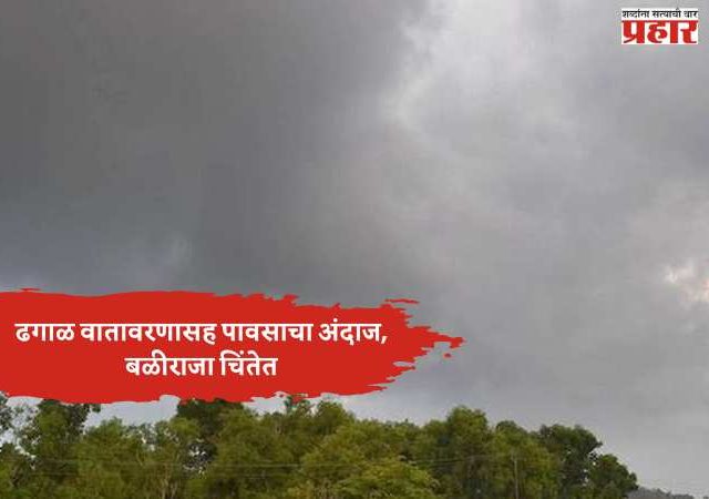 महाराष्ट्रातील सात जिल्ह्यांत हवामानाचा बदल; ढगाळ वातावरणासह पावसाचा अंदाज, बळीराजा चिंतेत