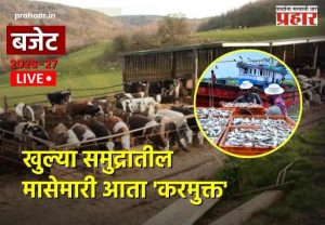 Budget 2026 : मच्छिमारांसाठी आनंदाची बातमी! खुल्या समुद्रातील मासेमारी आता 'करमुक्त'; निर्यातीला मिळणार मोठी गती