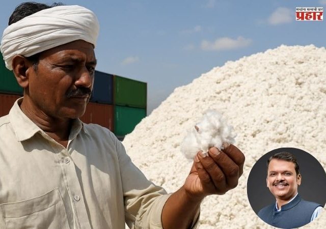Cotton Procurement Scheme: मुख्यमंत्र्यांकडून कापूस खरेदी योजनेला मुदतवाढ; खुल्या बाजारात दर कोसळण्याची भीती