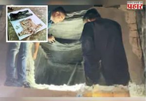 पाण्याच्या टाकीत मानवी हाडांचा सापळा