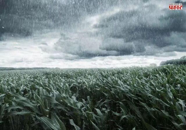 Weather Update : हवामानाचा ‘डबल अटॅक’! मुंबईत उकाड्याचा कहर तर विदर्भात वादळी पावसाचा इशारा