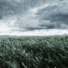Unseasonal Rain : अवकाळी पावसाने शेती पिकांचे मोठे नुकसान; आंब्याच्या बागांनाही अवकाळीचा फटका