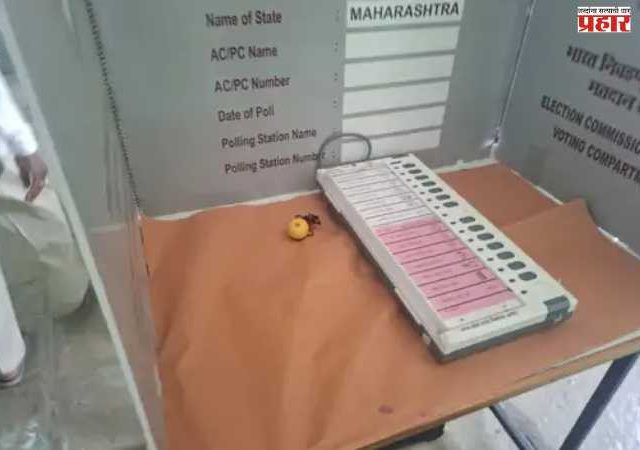 Solapur ZP Election News: सोलापुरात चक्क ईव्हीएम मशीनवर जादूटोणा? मतदारांमध्ये भीतीचं वातावरण