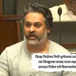 जिल्हा नियोजन निधी भूगोलावर ठरवू नका, त्या-त्या जिल्ह्याच्या प्रत्यक्ष गरजा लक्षात घ्या! - आमदार निलेश राणे विधानसभेत कडाडले