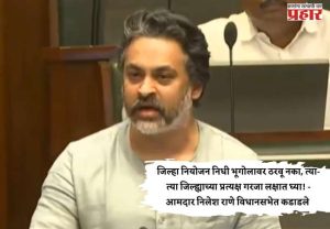 जिल्हा नियोजन निधी भूगोलावर ठरवू नका, त्या-त्या जिल्ह्याच्या प्रत्यक्ष गरजा लक्षात घ्या! - आमदार निलेश राणे विधानसभेत कडाडले