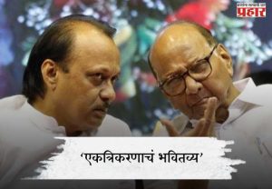 एकत्रिकरणाचं भवितव्य