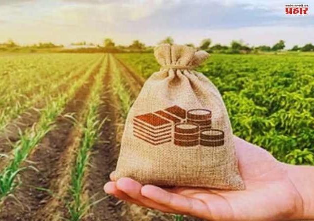 Budget 2026: बजेटमध्ये शेतकऱ्यांसाठी काय ?