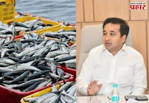 मत्स्य व्यवसाय विभागात डिजिटल क्रांती; मंत्री नितेश राणे यांची संकल्पना