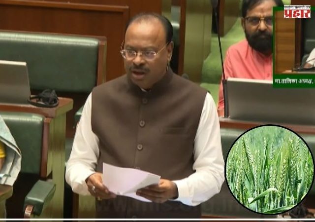 Chandrashekhar Bawankule : शेतकऱ्यांना रॉयल्टीतून 'मुक्ती'! शेतघर, विहीर, गोठ्यासाठी माती-मुरूम वापरल्यास दंडात्मक कारवाई नाही