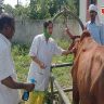 Maharashtra Government Veterinary Health System : राज्यात पशुवैद्यकीय सेवा कोलमडणार? ६,५०० कर्मचाऱ्यांचा सामूहिक राजीनाम्याचा इशारा, ग्रामीण अर्थव्यवस्था धोक्यात!