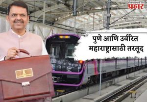 पुणे आणि उर्वरित महाराष्ट्रासाठी तरतूद