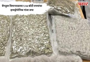 बेंगळुरू विमानतळावर १.५७ कोटी रुपयांचा हायड्रोपोनिक गांजा जप्त