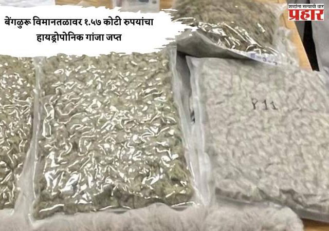 बेंगळुरू विमानतळावर १.५७ कोटी रुपयांचा हायड्रोपोनिक गांजा जप्त
